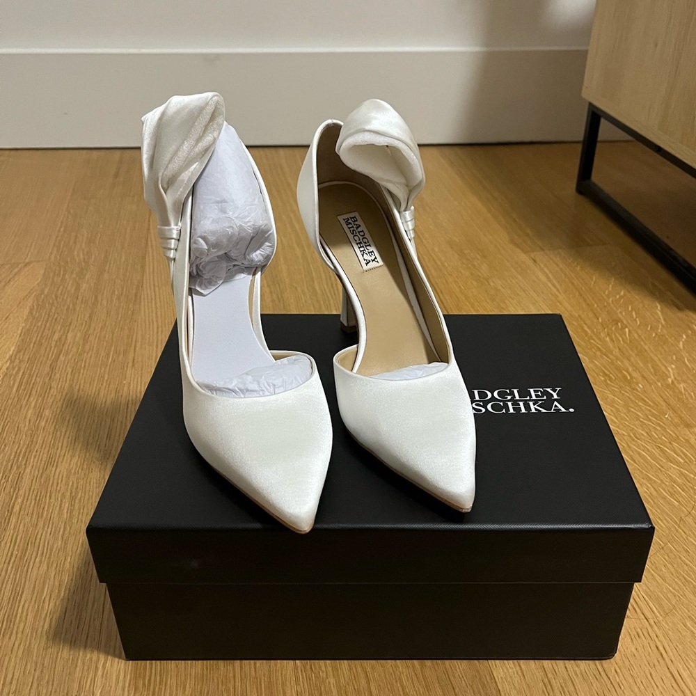 NWT Badgley Mischka Alejandra Pointed-Toe Pumps